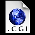 CGI FILE
